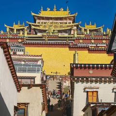 半途而沸 白塔·观景咖啡 User Photo