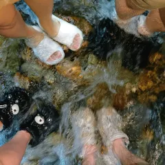 竹仔园牛仔农庄 User Photo