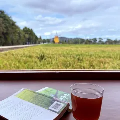 乡野菜 User Photo