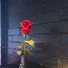 MURBEN牧尔本牛排馆(老洋房江苏路店) User Photo