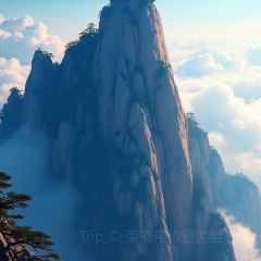 Guo hua san guan User Photo