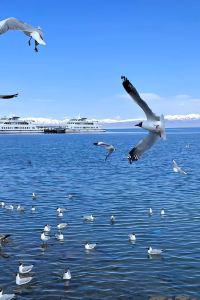 Lasuotumengnikechahantiemuer 湛江人民大道希爾頓歡朋酒店優惠