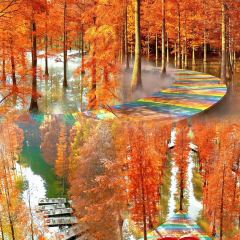 洪泽湖小鱼锅贴城(淮建路店) 여행 사진