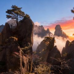 Dizhu Local Restaurant User Photo