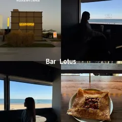 Bar Lotus User Photo