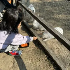 A HUA NONG ZHUANG User Photo