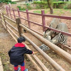 简阳三岔湖长岛天堂洲际酒店·龙轩中餐厅 User Photo