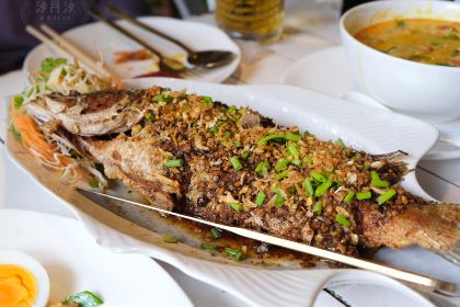 Oasis Bar & Restaurant