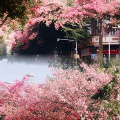 小康生活(碧水花城店) User Photo
