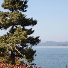 渔水谣·湖岸风味私房菜(千岛湖旅游码头店) User Photo