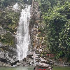 六记老字号山水裹蒸粽 User Photo