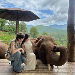 Elefin Farm & Cafe เอเลฟิน ฟาร์ม แอนด์ คาเฟ่ User Photo