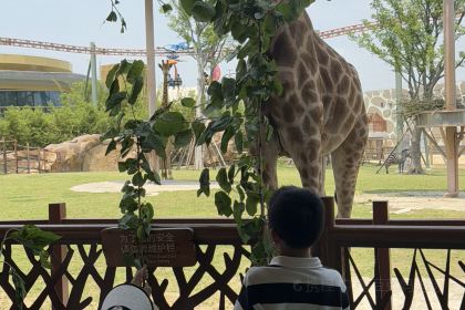 张家牛肉面馆(幸福路店)