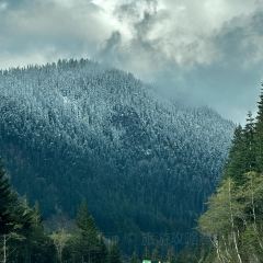 Tilikum Place Cafe User Photo