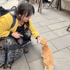 早茶街 User Photo