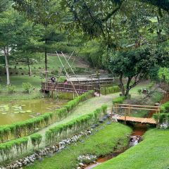 Rimba By Dking ( Durian & Restaurant ) User Photo