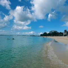 The Cracked Conch by the Sea User Photo