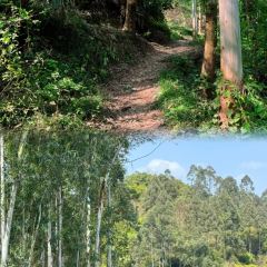 山涧别院 User Photo