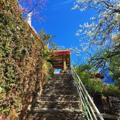 丹巴光与林酒店·及所悬崖餐厅 User Photo