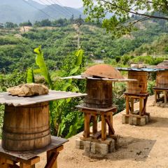 山里人家(黄尾立交桥店) User Photo