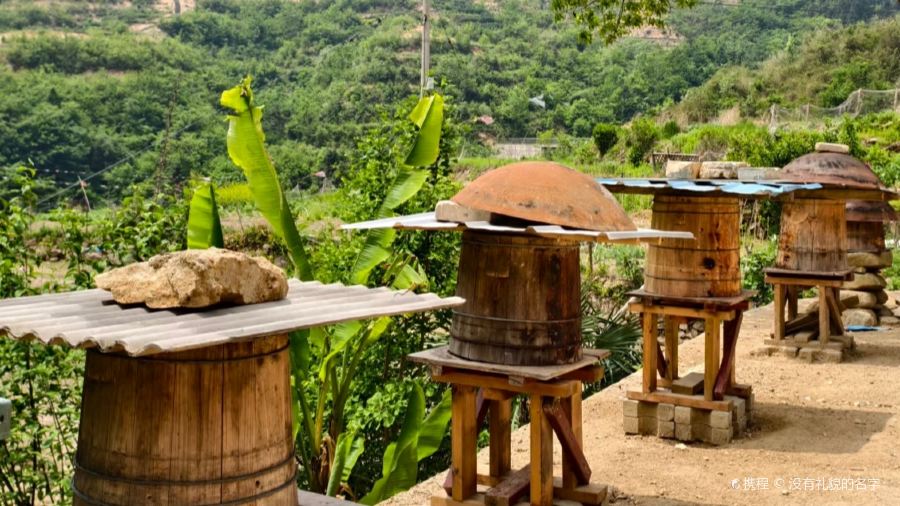 山里人家(黄尾立交桥店)