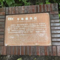 呀諾達雨林一號度假飯店·熱帶雨林餐廳張用戶圖片