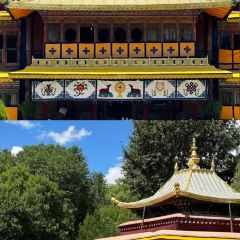 RU YI LIN KA TONG GUO MAO NIU ROU User Photo