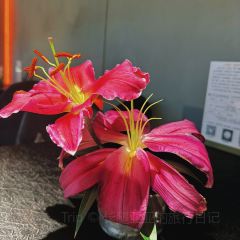 Gastro Esthetics at DaDong User Photo