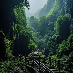 李坑·德馨居农家菜馆 User Photo