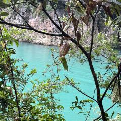 砂锅莊豆米火锅 User Photo