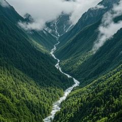 钟跷脚生态牛肉汤锅 User Photo