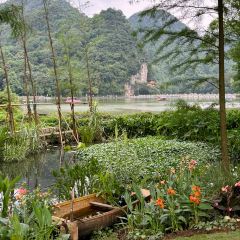 Weiweimushugeng User Photo