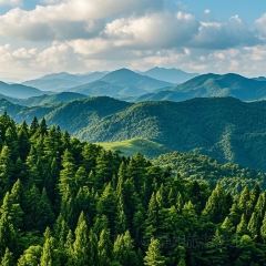 颍阳水席(登封店) User Photo