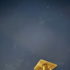1484 By Puro User Photo