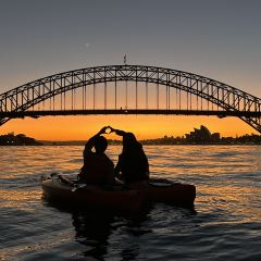 Sails on Lavender Bay User Photo