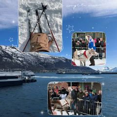 McDonald’s Tromsø User Photo