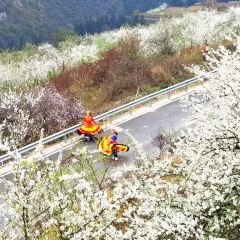 WU MENG SHAN 여행 사진