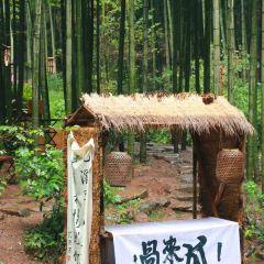 Meijie User Photo