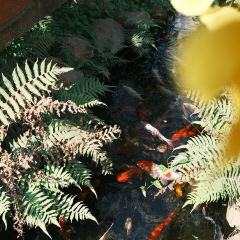 chill cafe User Photo