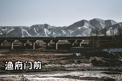 年年有漁漁府