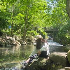 404Brunch&Bistro User Photo