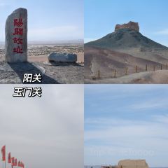思露杏皮茶 User Photo
