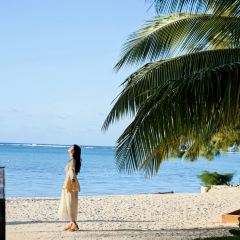 Ohas cafe (Kensington) User Photo