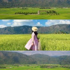 Warung Tepi Sawah 2769 User Photo