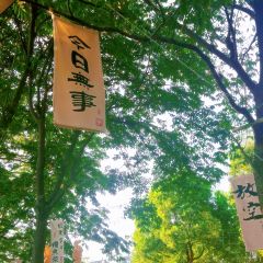染月茶咖 User Photo