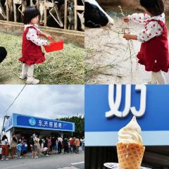 高朋家常菜 User Photo