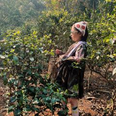 简聿咖啡 User Photo