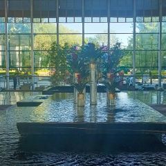 廊坊潮白河喜来登酒店·采悦轩中餐厅 여행 사진