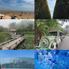 前王院海鮮食府（萬平口店）張用戶圖片