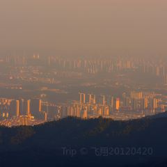 LAO MIN TIAN LUO GUAN User Photo